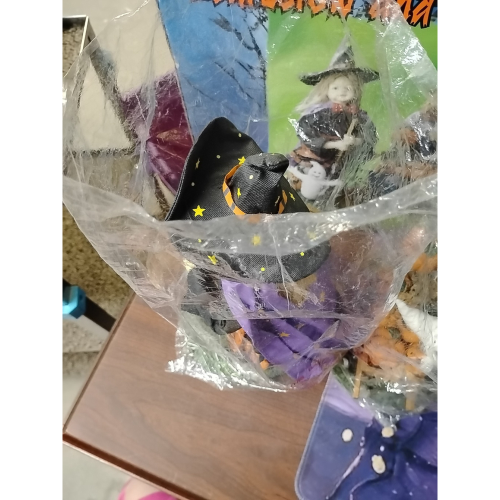 Halloween Scarecrow & Witch 13" Fabric Mache Figurines Pumpkins Ghosts With Box - Picture 7 of 8